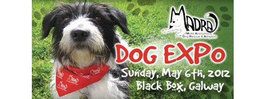 dogexpo2012